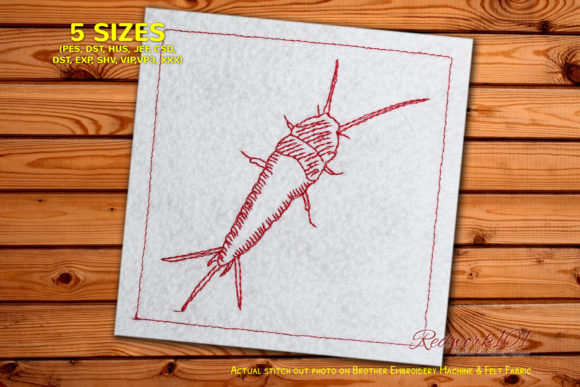 Common Apterygota Embroidery Design Review