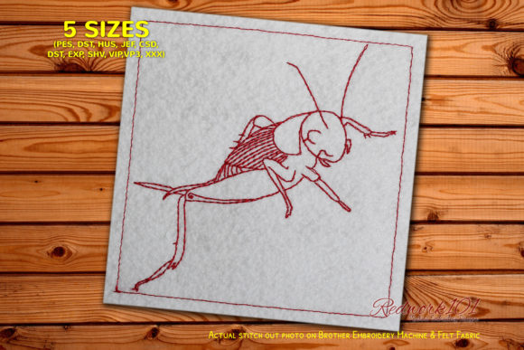 Cricket: A Seasonal Embroidery Design Worth Curating